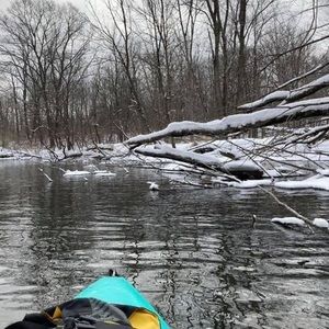 Meet your Posher, Sue